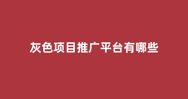  小旋风万能蜘蛛池不收录